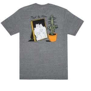RIPNDIP FAMILY REUNION TEE (ASH GRAY)